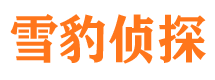 天柱寻人公司